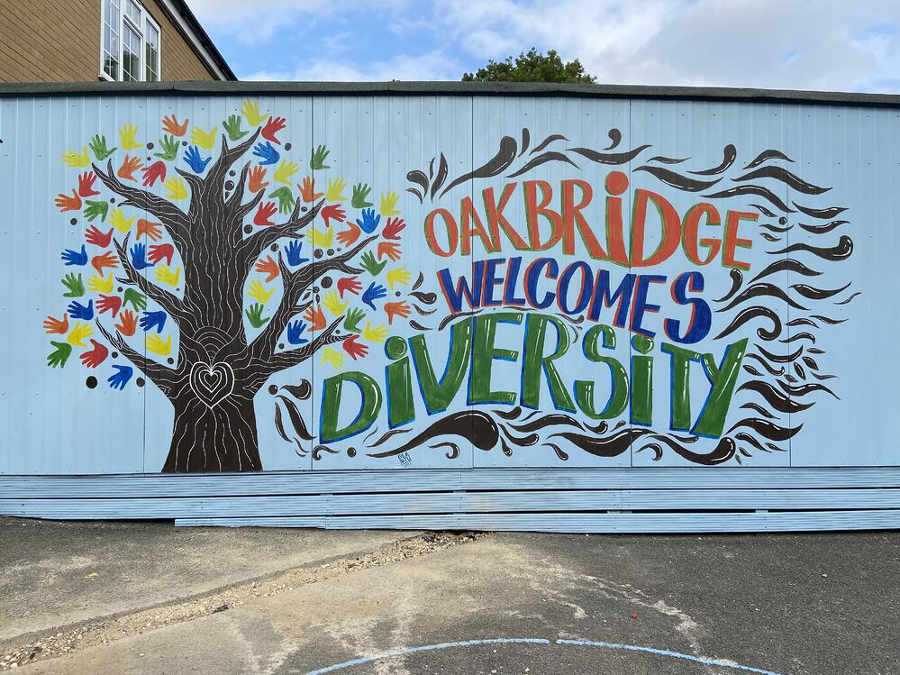 One of Book An Artist's commissions for a school, Diversity Mural painted by Ola