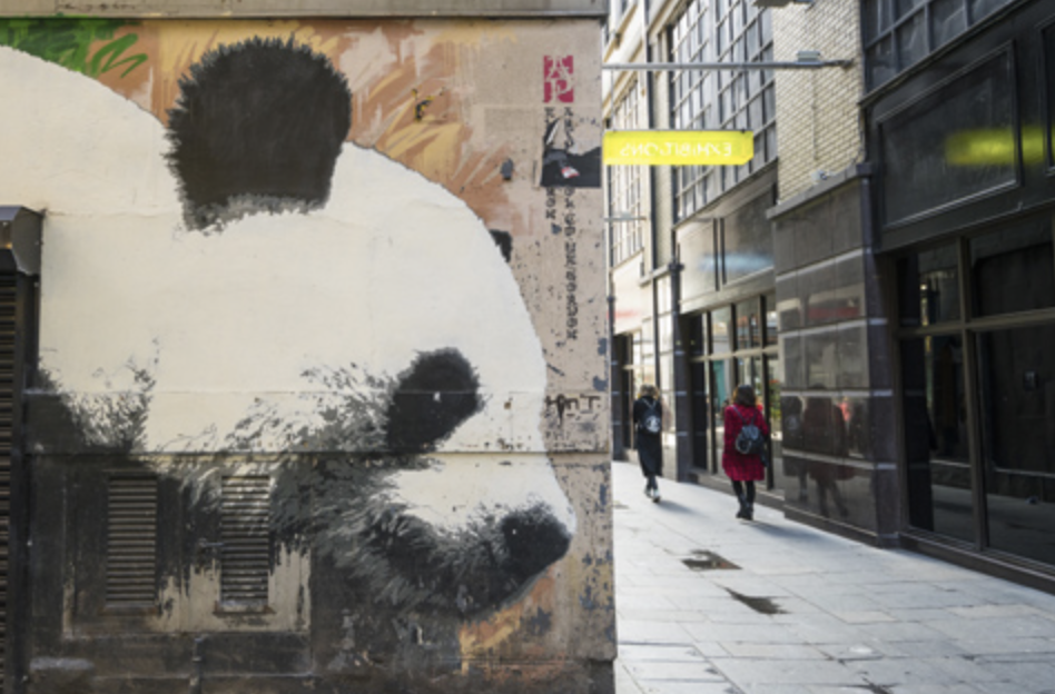 The Glasgow Panda by Smug