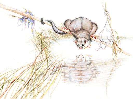 Possum magic illustration